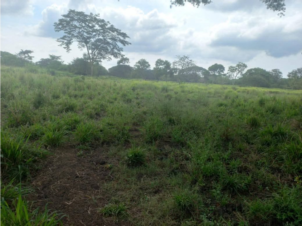 LOTE EN VENTA MAMONAL, GAMBOTE — foto 2