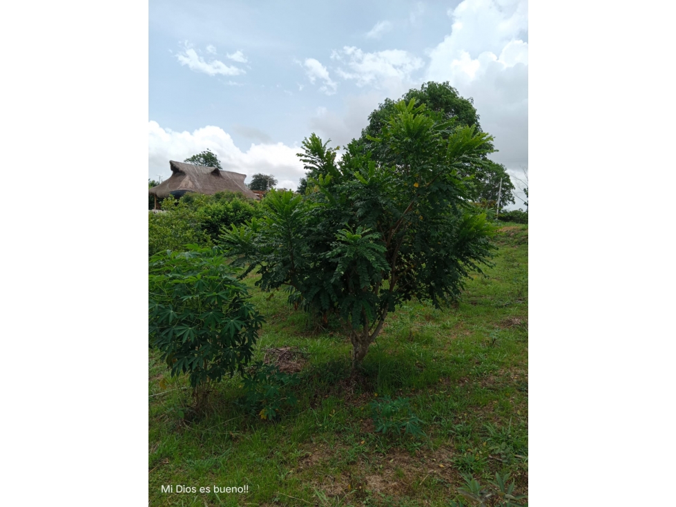 LOTE EN VENTA, UBICADO EN TURBACO,BOLIVAR — foto 2