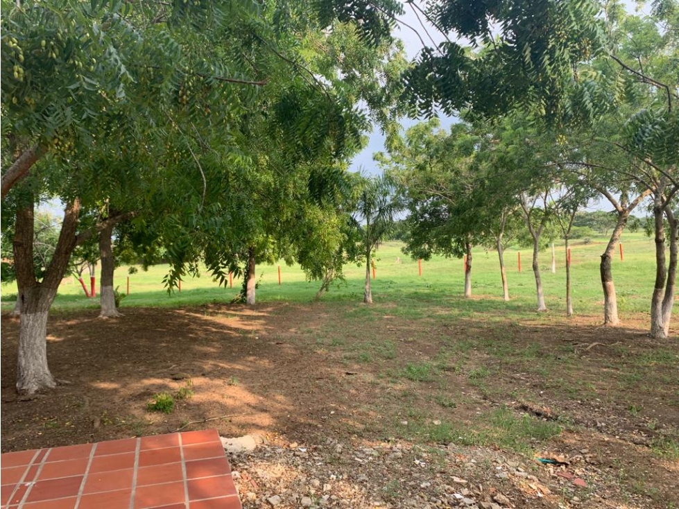 FINCA EN VENTA, LAS PIEDRAS (BOLIVAR) — foto 2