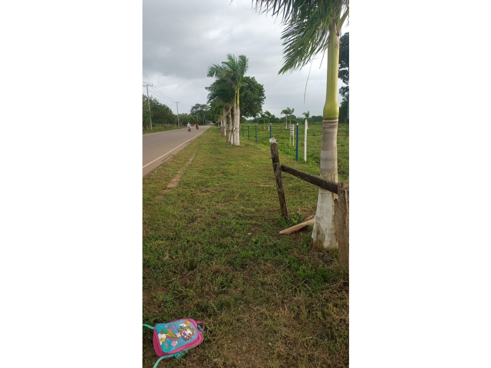 FINCA EN VENTA, LAS PIEDRAS (BOLIVAR) — foto 5