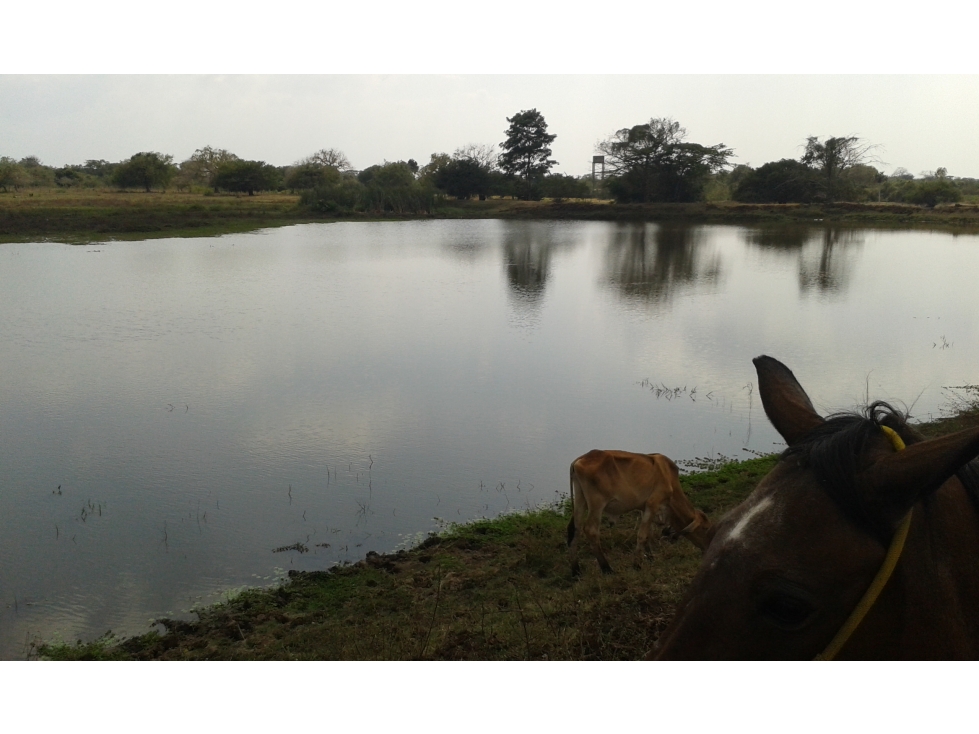FINCA EN VENTA, MAHATES, BOLIVAR — foto 2