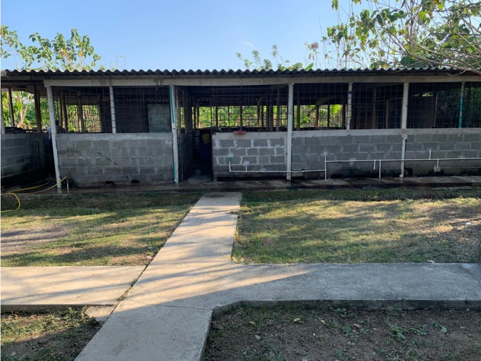 FINCA EN VENTA, ARENAL, BOLIVAR - 4
