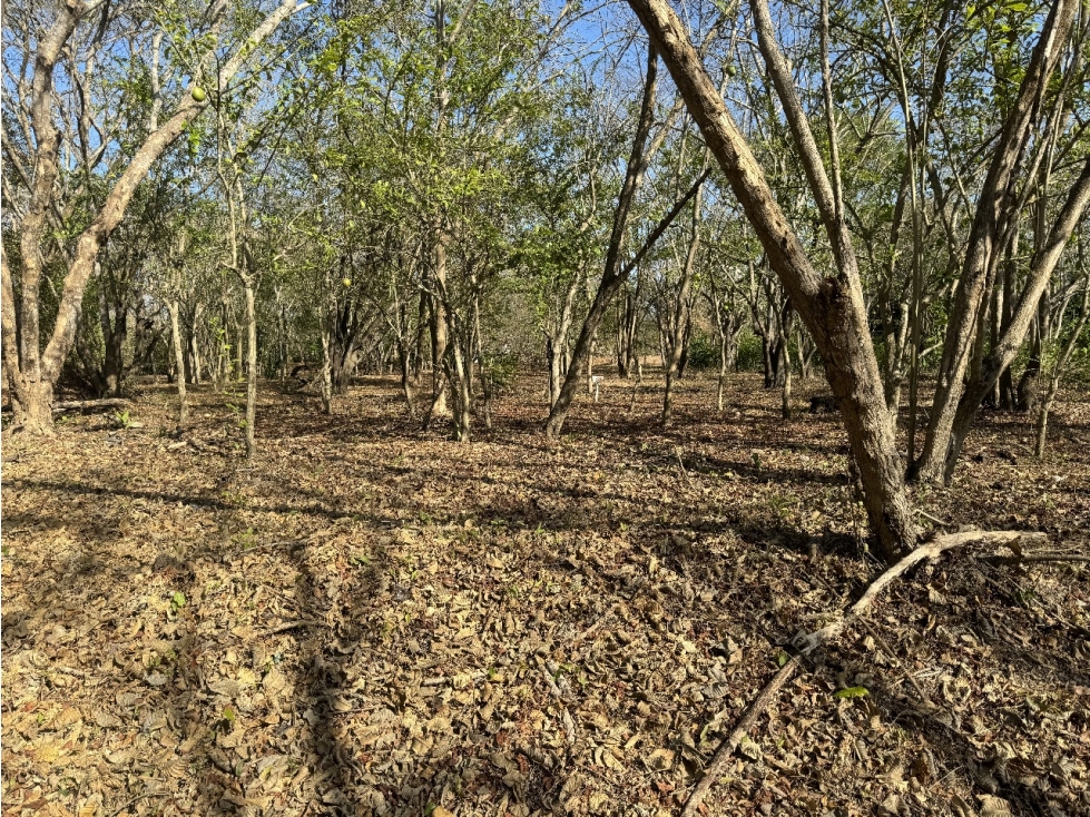 LOTE EN VENTA - ZONA NORTE, CARTAGENA-BARRANQUILLA
