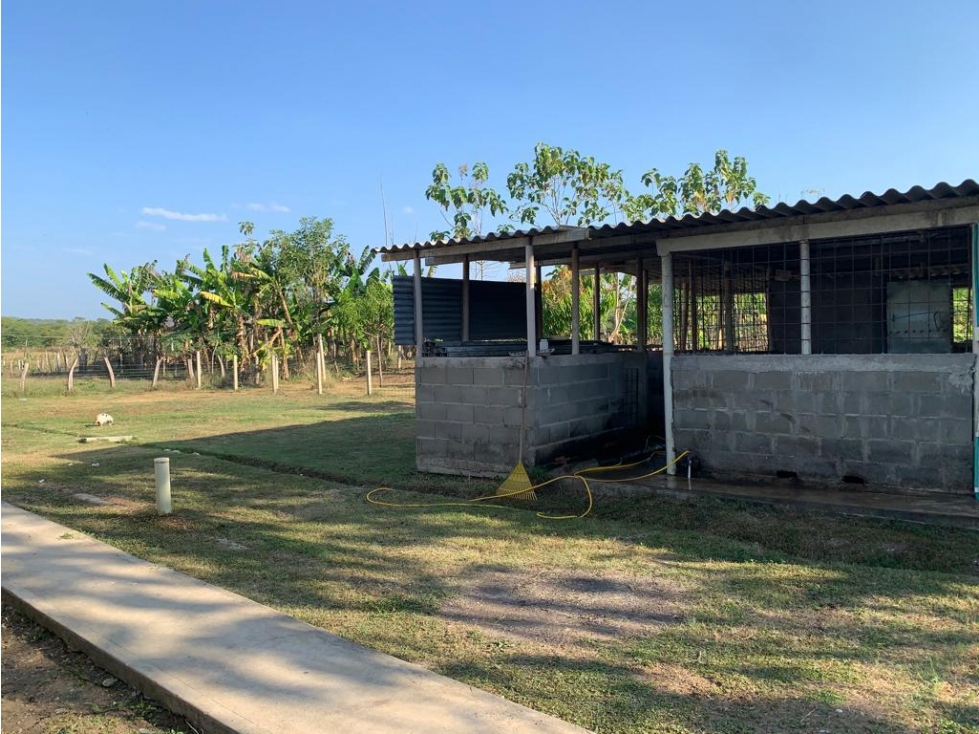 FINCA EN VENTA, ARENAL, BOLIVAR - 6