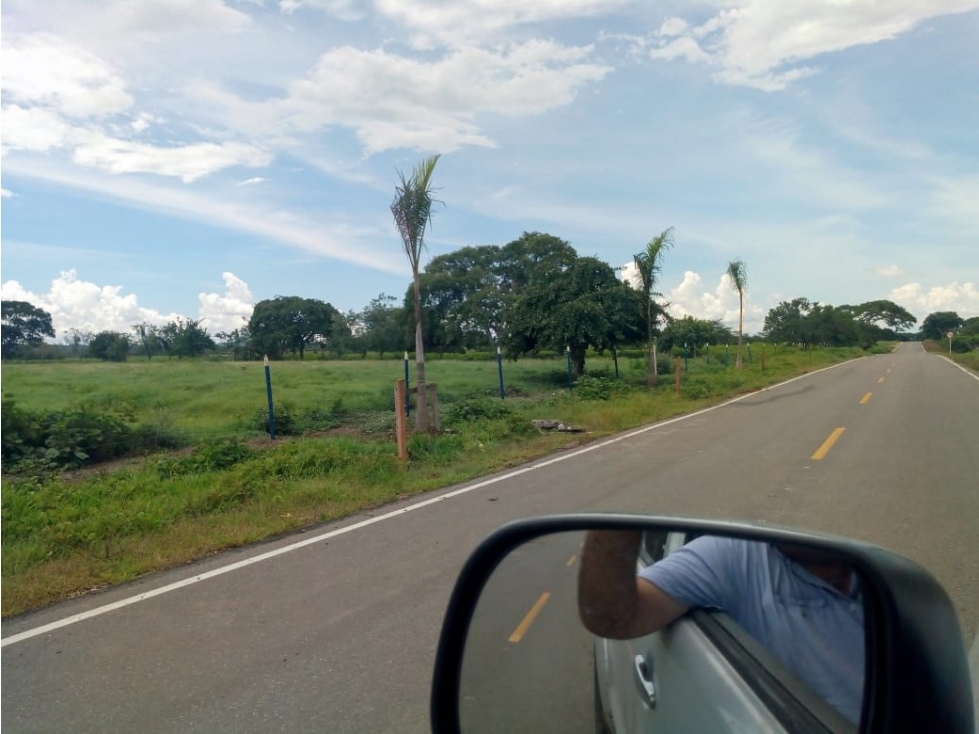 FINCA EN VENTA, LAS PIEDRAS (BOLIVAR) — foto 4