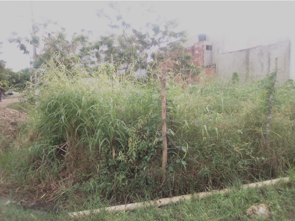 LOTE EN VENTA, TURBACO, BOLIVAR — foto 2