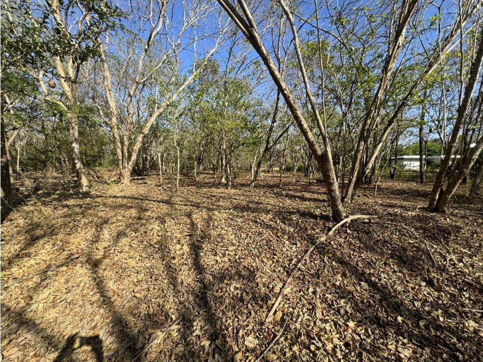 LOTE EN VENTA - ZONA NORTE, CARTAGENA-BARRANQUILLA — foto 2