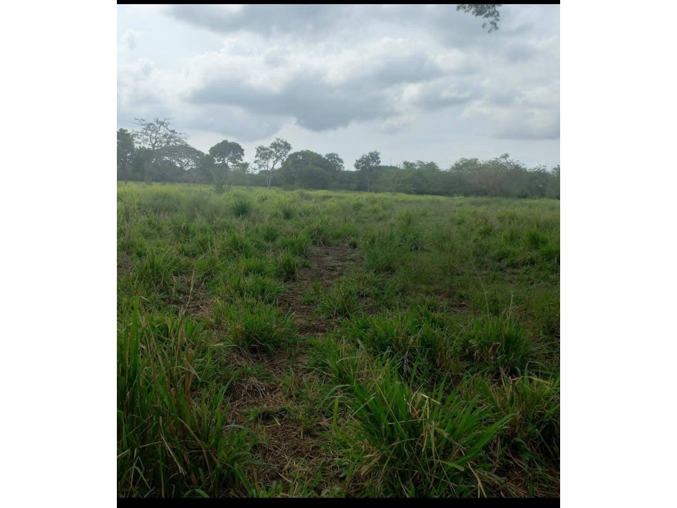 LOTE EN VENTA MAMONAL, GAMBOTE — foto 4