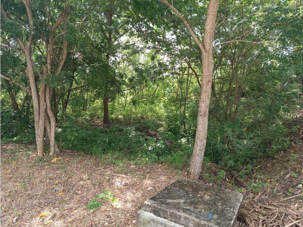 LOTE EN VENTA, PONTEZUELA, CARTAGENA