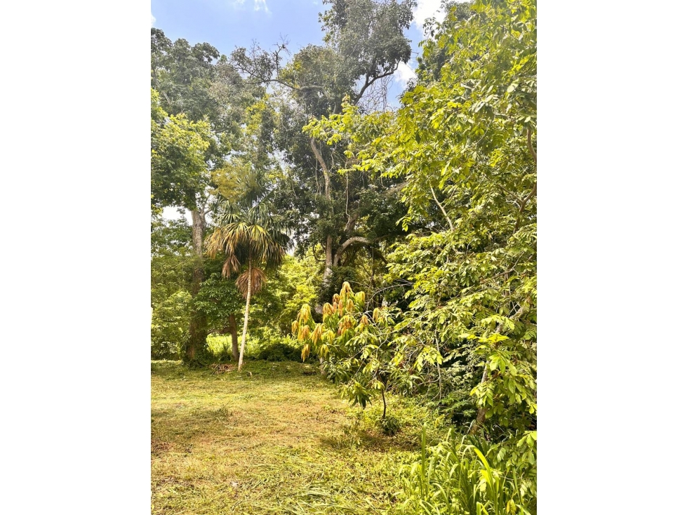 LOTE EN VENTA, TURBACO, BOLIVAR - 3