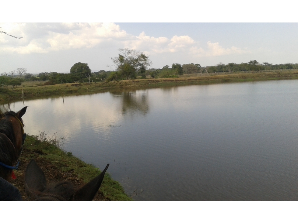 FINCA EN VENTA, MAHATES, BOLIVAR — foto 4