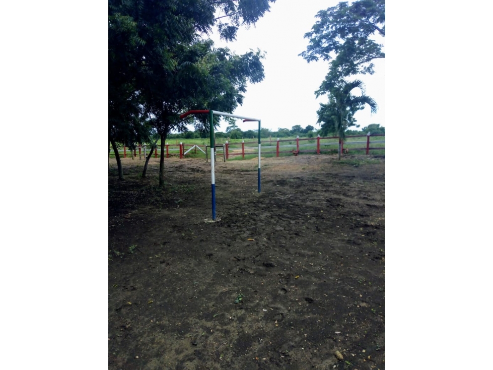 FINCA EN VENTA, LAS PIEDRAS (BOLIVAR) — foto 6