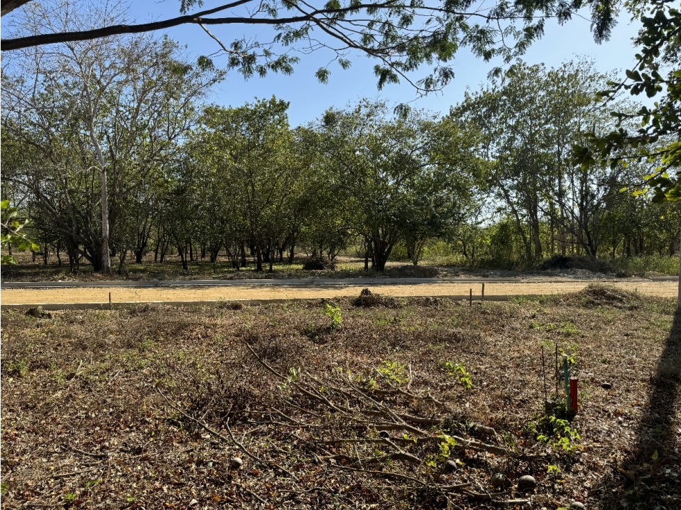 LOTE EN VENTA - ZONA NORTE, CARTAGENA-BARRANQUILLA — foto 3