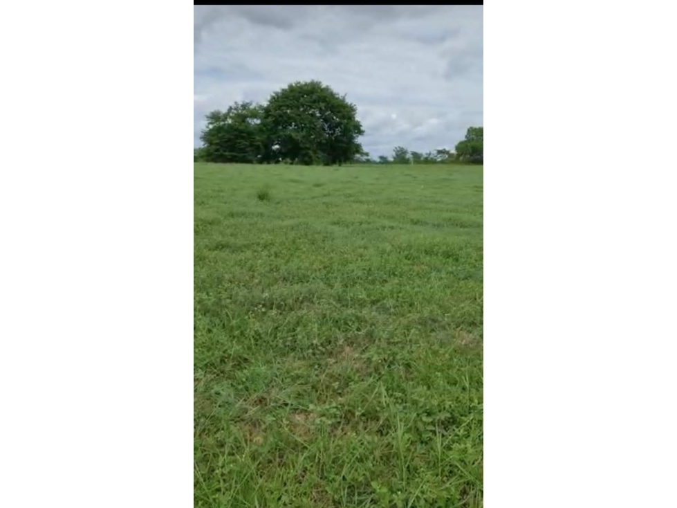 FINCA EN VENTA, LAS TABLITAS SUCRE - 4