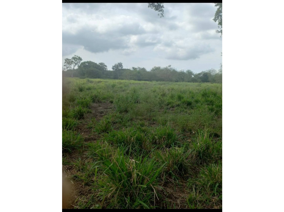 LOTE EN VENTA MAMONAL, GAMBOTE — foto 5