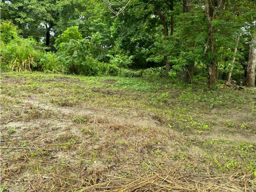 LOTE EN VENTA, TURBACO, BOLIVAR - 4