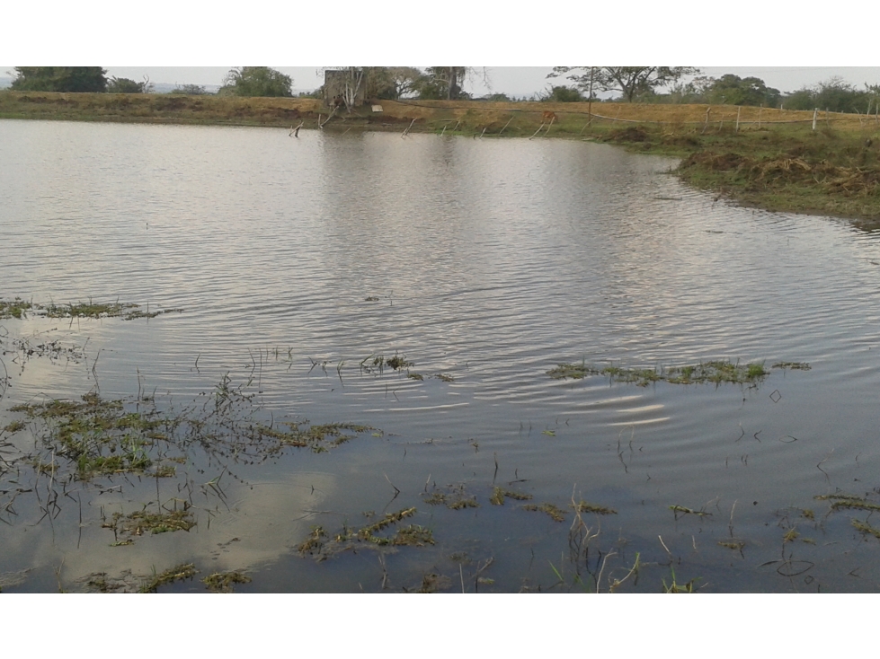 FINCA EN VENTA, MAHATES, BOLIVAR — foto 5