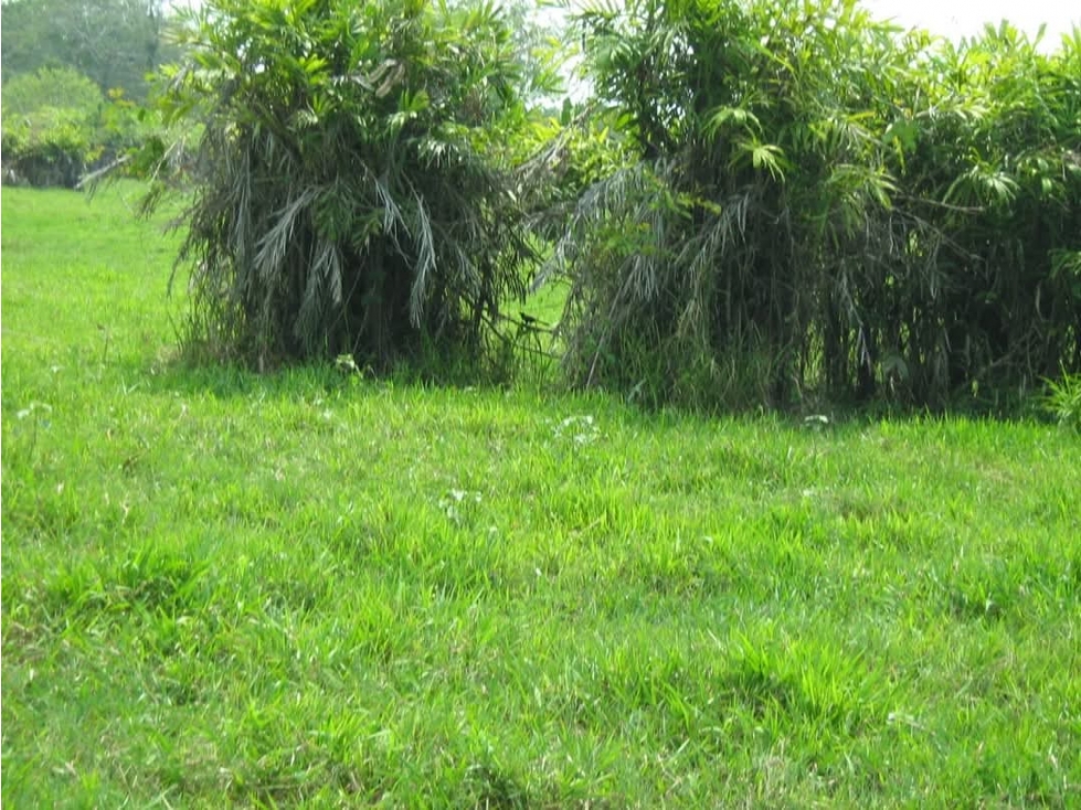 FINCA EN VENTA, ACHI, BOLIVAR - 5