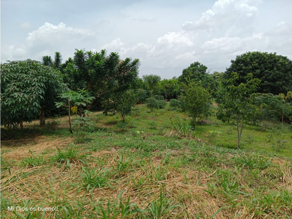 LOTE EN VENTA, UBICADO EN TURBACO,BOLIVAR — foto 6