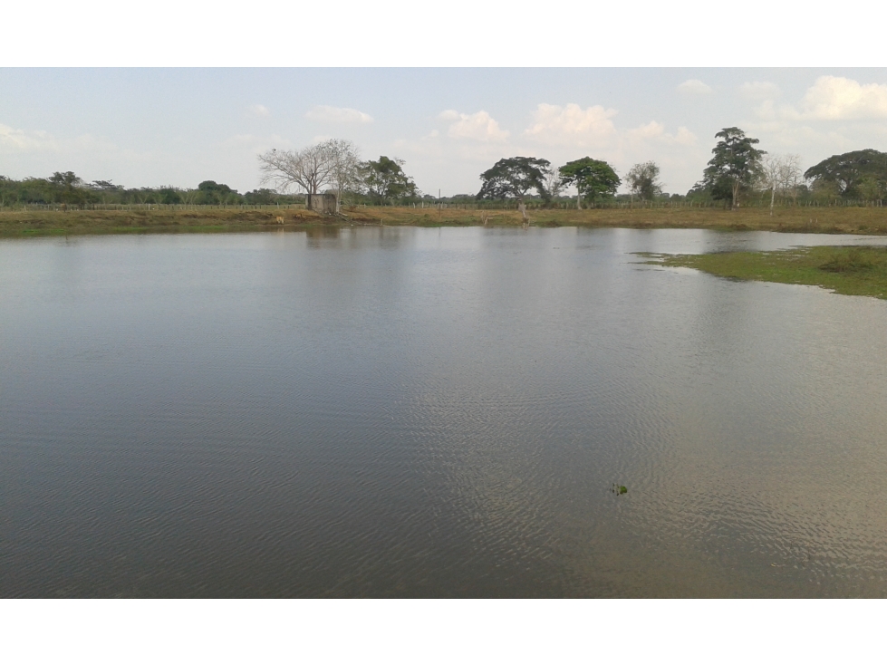 FINCA EN VENTA, MAHATES, BOLIVAR — foto 6