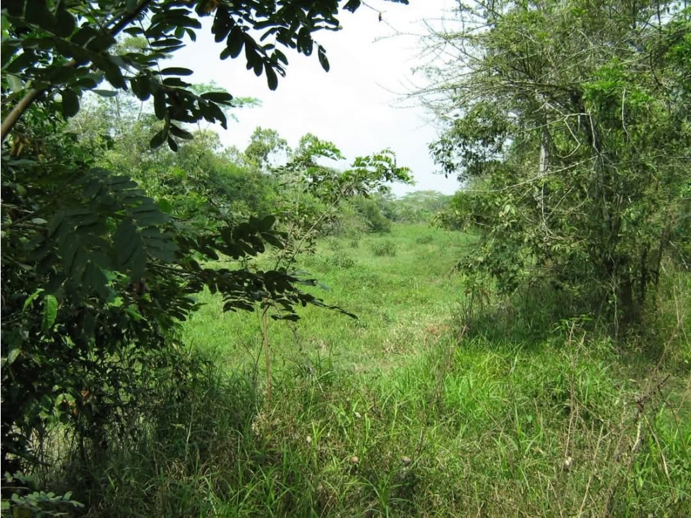 FINCA EN VENTA, ACHI, BOLIVAR - 6