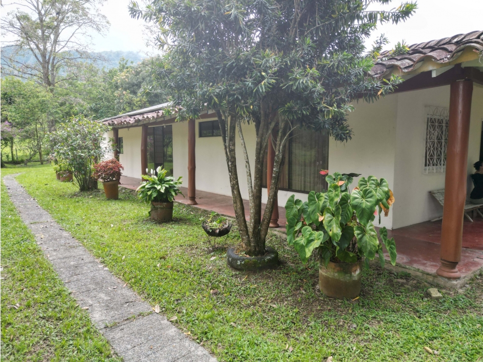 Finca en Venecia con vista a Cerro Tusa -Tranquilidad y hermosa vista - 3