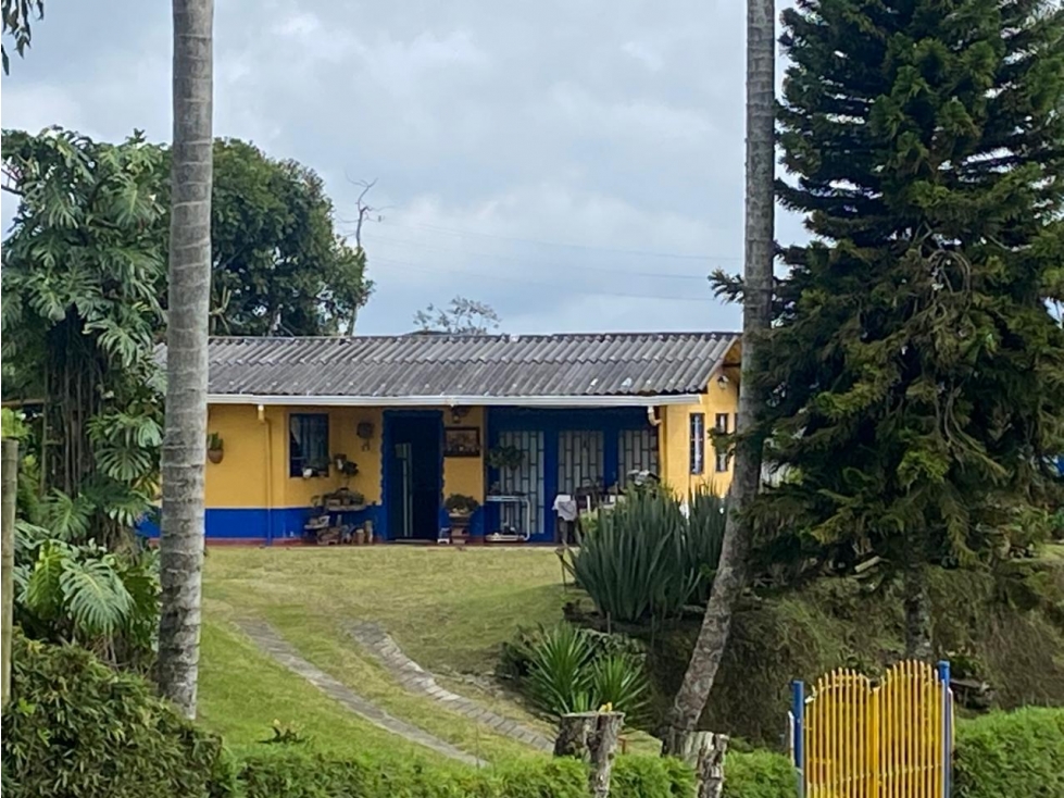 Finca en arriendo con Amplios Espacios y Kiosco en Filandia - Quindio - 3
