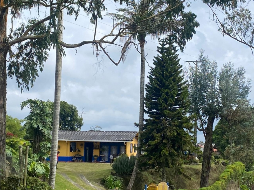 Finca en arriendo con Amplios Espacios y Kiosco en Filandia - Quindio - 4