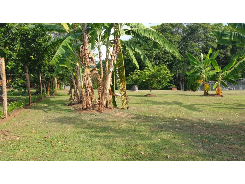 Lote en venta sopetran — foto 5