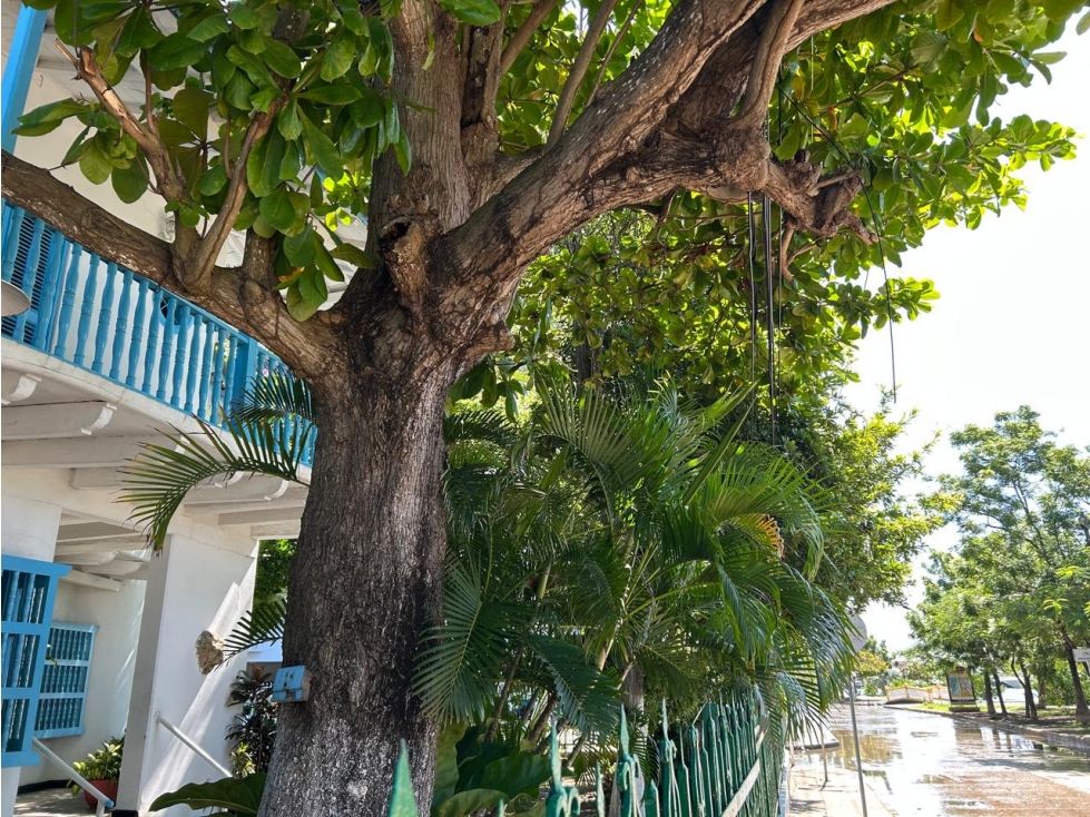 Se Vende / se arrienda casa esquinera en Manga en Cartagena de Indias — foto 3