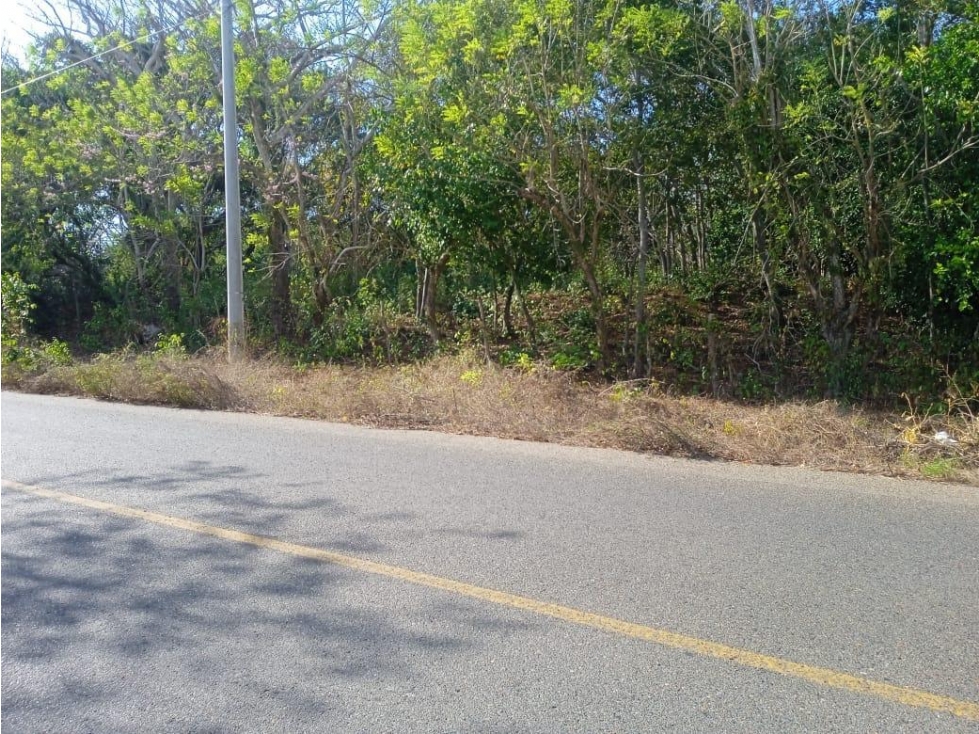 Lote en Barú en Cartagena de Indias — foto 2