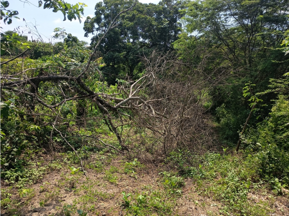 Venta de Lote en Pontezuela, Bolívar
