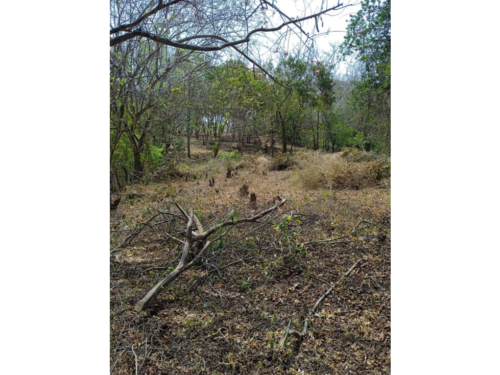 Lote en Barú en Cartagena de Indias — foto 4