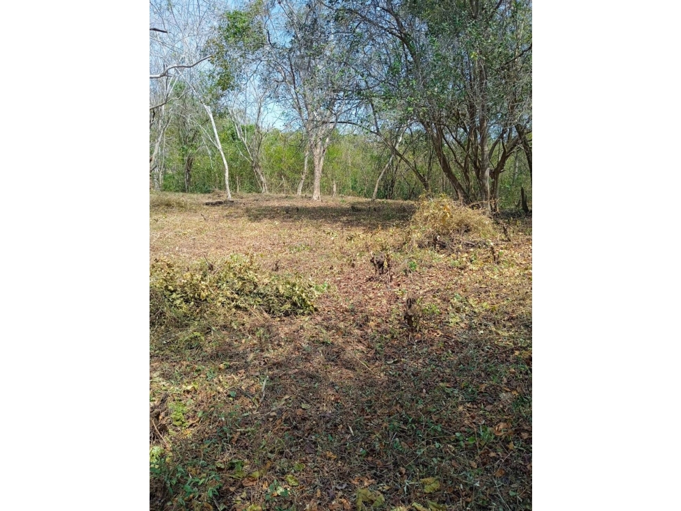 Lote en Barú en Cartagena de Indias — foto 3