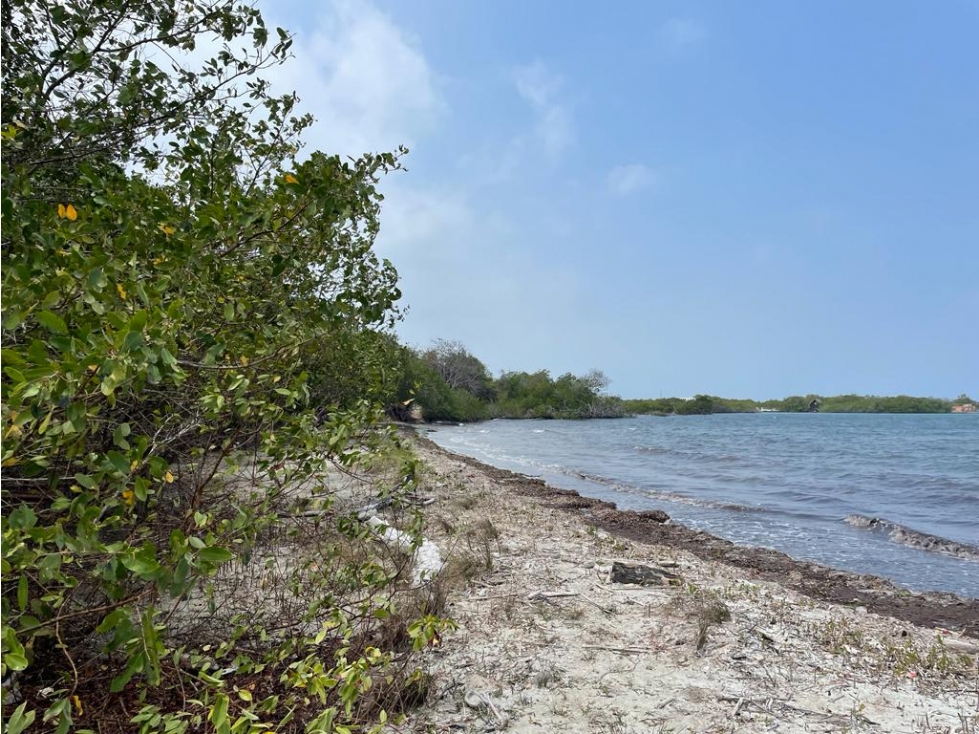 Lote en Barú, en Cartagena — foto 3