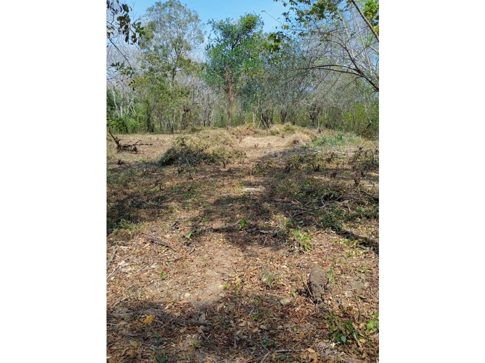 Lote en Barú en Cartagena de Indias — foto 5
