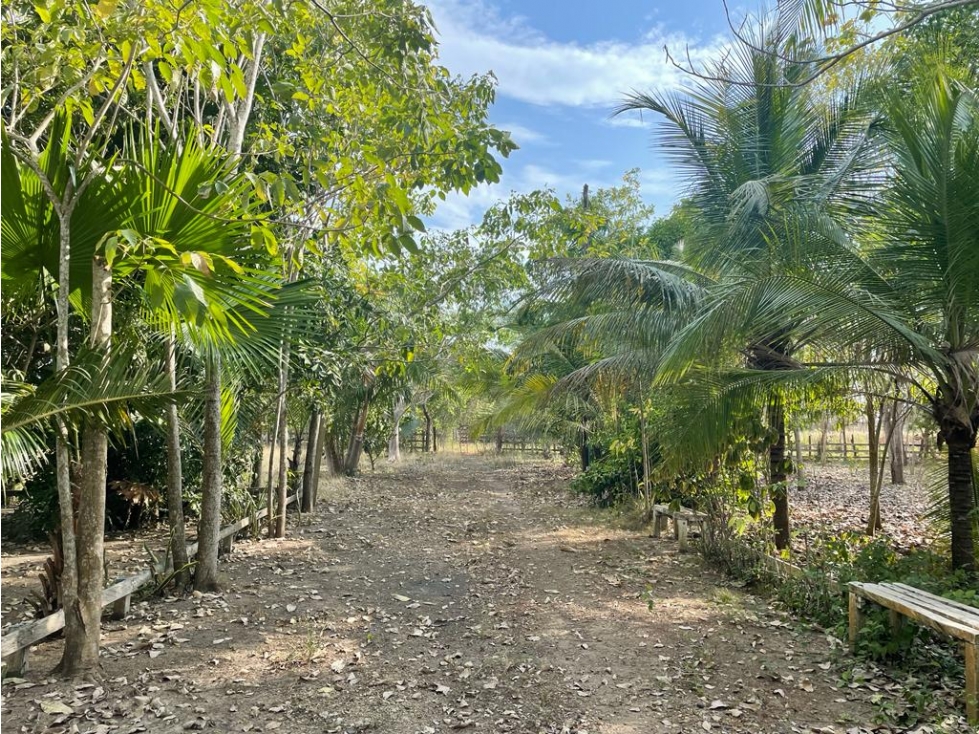 Lote en Barú, Cartagena — foto 6