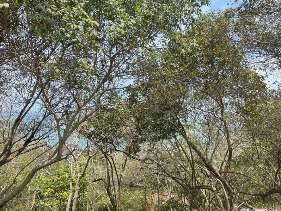 Lote en Barú, Cartagena, en Matimbá Club & Spa
