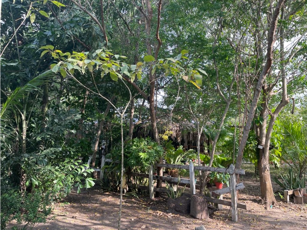 Lote en Barú, Cartagena — foto 4