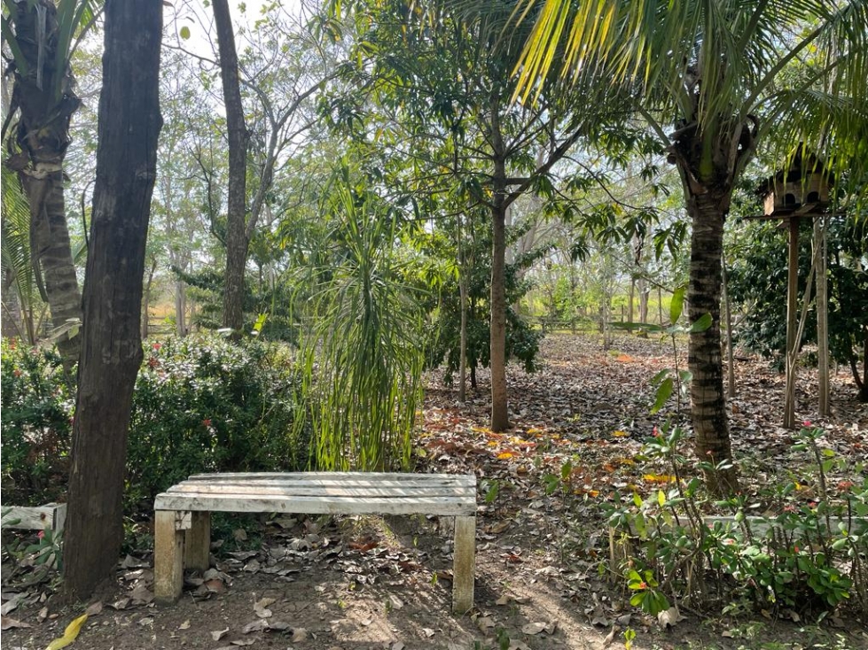 Lote en Barú, Cartagena — foto 5