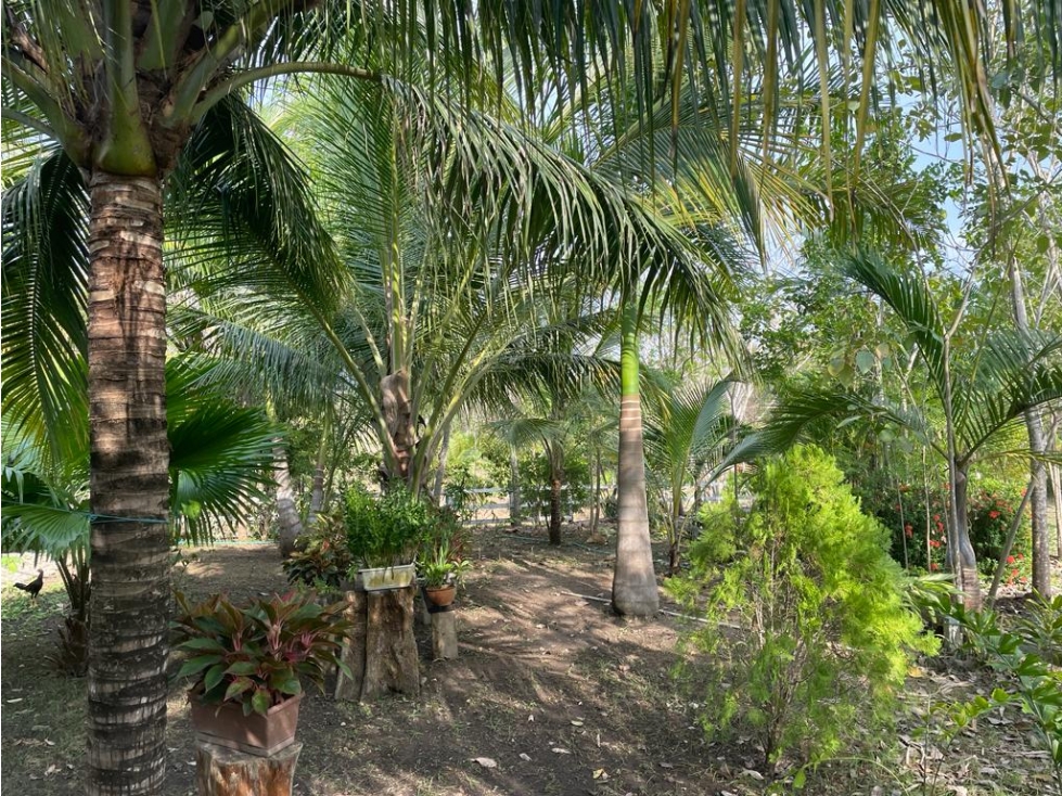 Lote en Barú, Cartagena — foto 3
