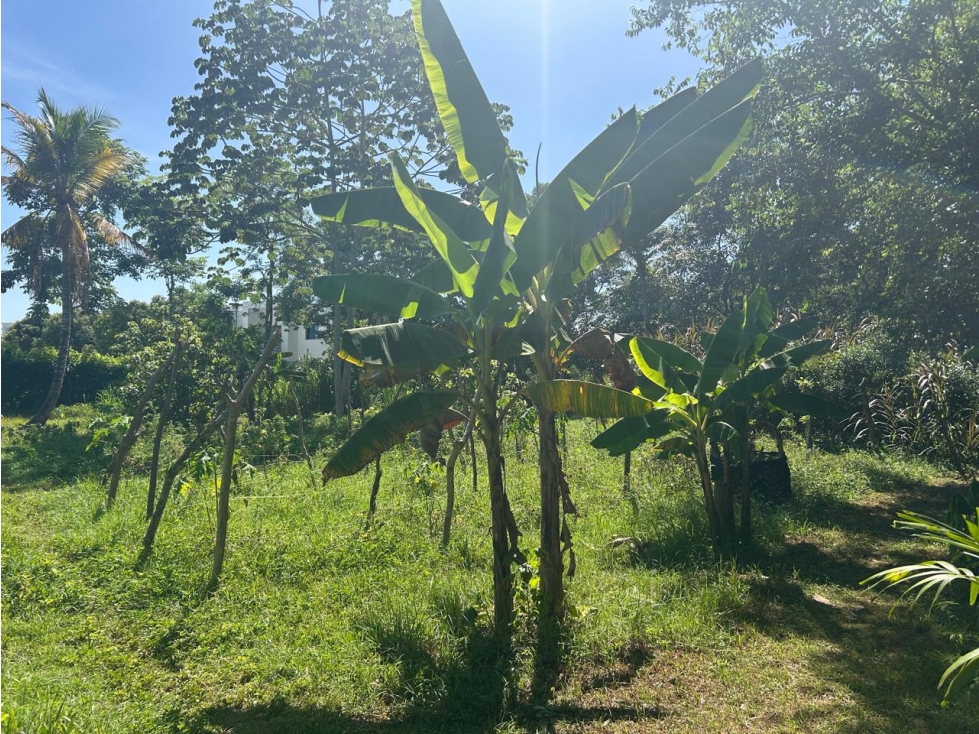 Venta de Finca en Turbaco - 3
