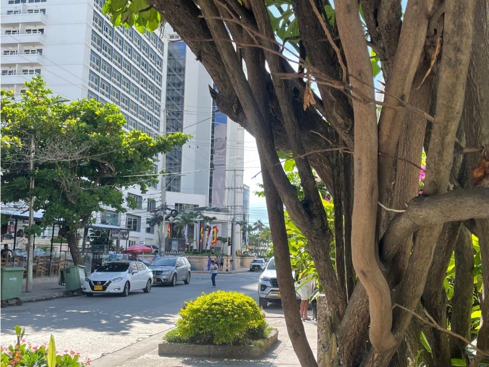 Venta de Casa en Bocagrande, Cartagena — foto 6