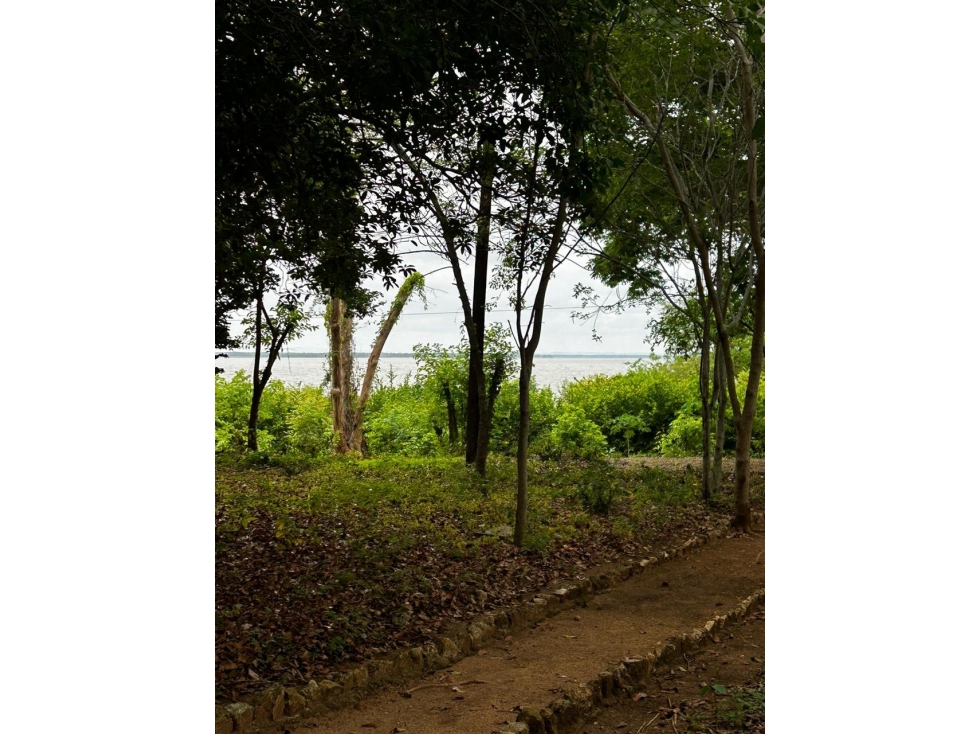 Lote de playa, en Barú en Cartagena de Indias — foto 4