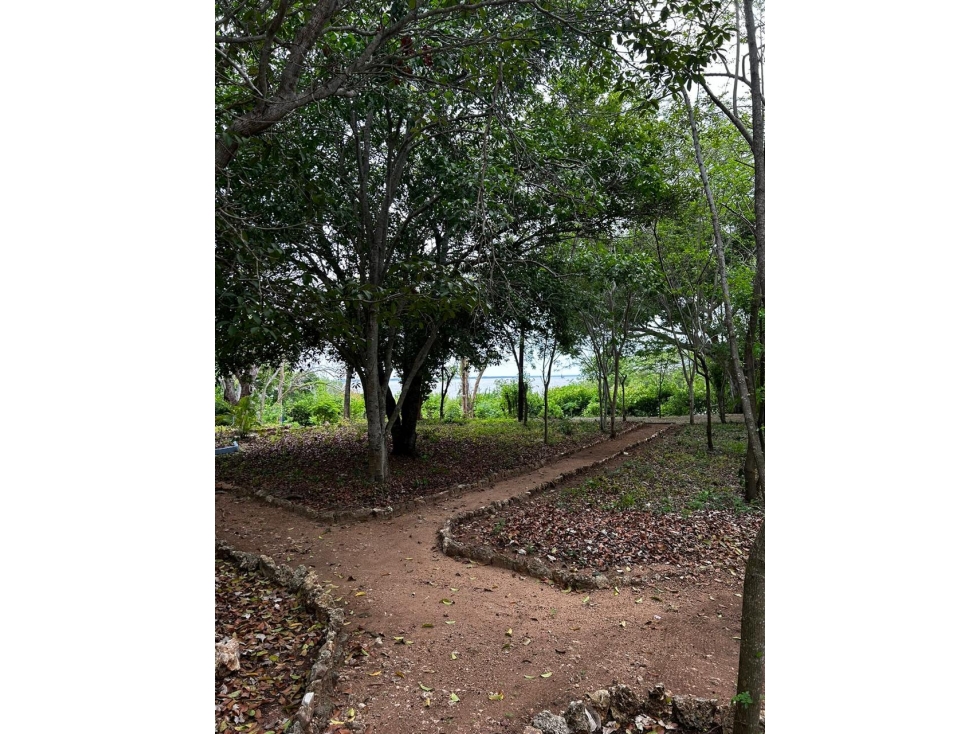 Lote de playa, en Barú en Cartagena de Indias — foto 3