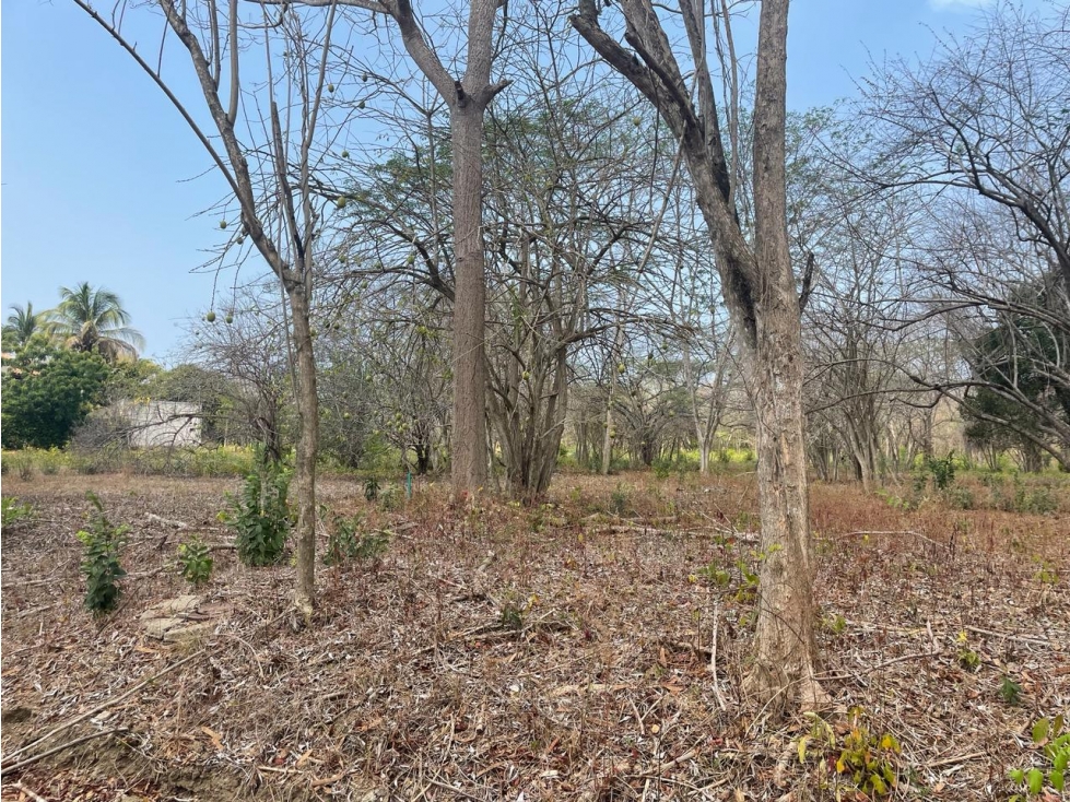 Lotes en Cartagena, zona norte