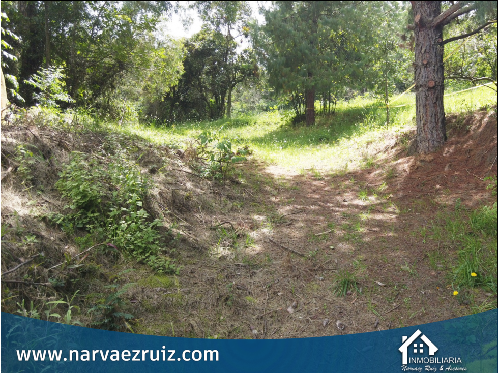 En Venta Lote de 17.799mts en Tenjo Con Gran Potencial de Inversión - 5