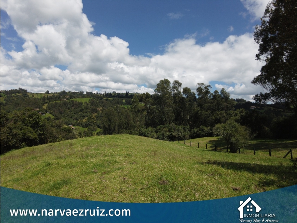 Vendo Lote de 5.560mts en Tabio Rio Frio Oriental - 6
