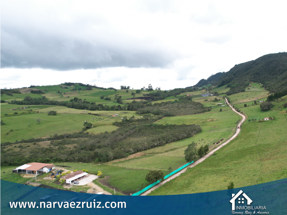 Vendo Finca de 32 Fanegadas en Tabio Vereda Llano Grande - 6