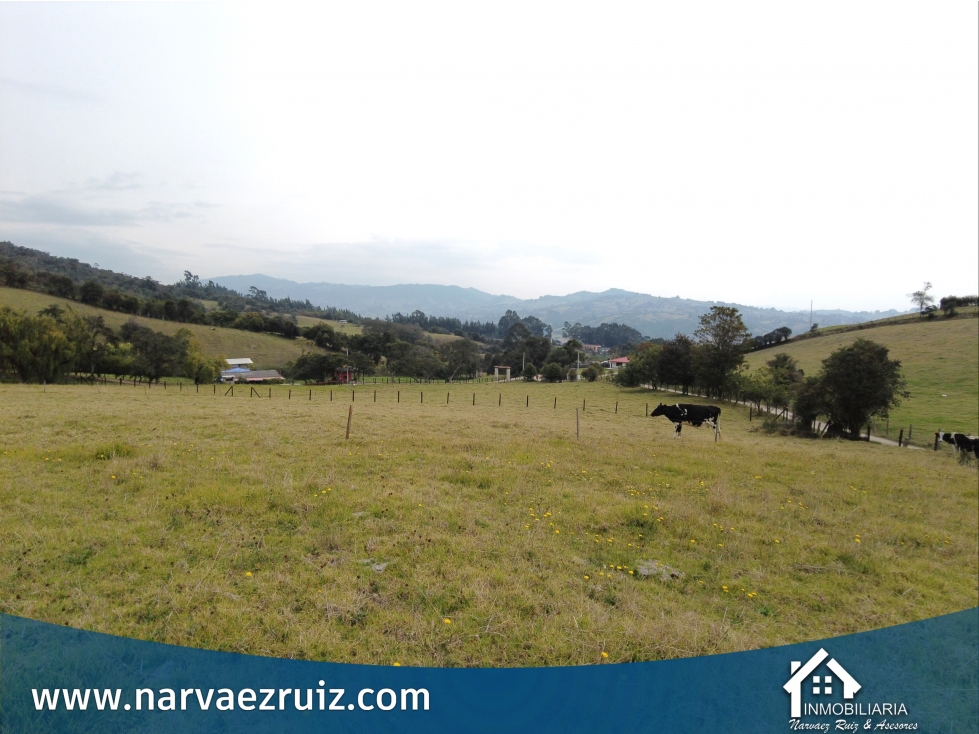 Vendo Lote de 6.400mts en Tabio Rio Frio Occidental - 3
